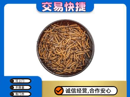 大连普兰店区高价回收散虫草